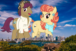 Size: 2048x1365 | Tagged: safe, anonymous editor, artist:cheezedoodle96, edit, aunt holiday, snap shutter, earth pony, pony, g4, australia, brother and sister, clothes, duo, female, giant pony, giantess, hat, highrise ponies, irl, macro, male, mare, photo, ponies in real life, scarf, shirt, siblings, stallion, story included, sydney