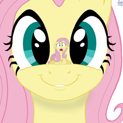 Size: 900x900 | Tagged: safe, artist:twiny dust, edit, fluttershy, pegasus, pony, g4, cute, female, frustration, looking at you, mare, simple background, smiling, white background