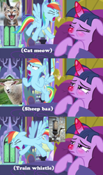 Size: 1000x1689 | Tagged: safe, edit, edited screencap, screencap, rainbow dash, twilight sparkle, alicorn, cat, pony, sheep, ail-icorn, g4, interseason shorts, baa, blushing, dashie mcboing boing, lyrebird dash, meow, red nosed, sicklight sparkle, steam train whistle, train, train whistle, twilight sparkle (alicorn), whistle