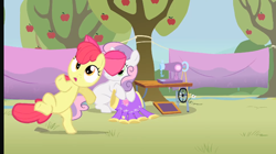 Size: 1286x720 | Tagged: safe, screencap, apple bloom, sweetie belle, earth pony, pony, unicorn, g4, the show stoppers, apple, apple tree, bipedal, blanket, derp, dizzy, sewing machine, tree