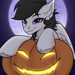 Size: 2048x2048 | Tagged: safe, alternate character, alternate version, artist:enderbee, oc, oc only, oc:ash farwind, pegasus, pony, commission, ear fluff, halloween, happy, high res, holiday, jack-o-lantern, moon, pegasus oc, pumpkin, smiling, solo, stars, ych result