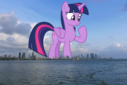 Size: 1600x1066 | Tagged: safe, anonymous editor, artist:andoanimalia, edit, twilight sparkle, alicorn, pony, g4, female, folded wings, giant pony, giant twilight sparkle, giantess, highrise ponies, india, irl, looking down, macro, mare, mumbai, photo, ponies in real life, raised hoof, smiling, solo, story included, twilight sparkle (alicorn), wings