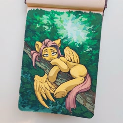 Size: 2560x2560 | Tagged: safe, artist:amishy, fluttershy, pegasus, pony, g4, feathered wings, female, frog (hoof), gouache, high res, in a tree, lidded eyes, looking at you, mare, missing cutie mark, partially open wings, solo, traditional art, tree, tree branch, underhoof, wings