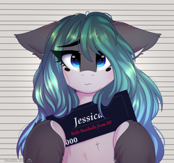 Size: 1600x1500 | Tagged: safe, artist:2pandita, earth pony, pony, female, mare, mugshot, solo