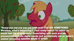 Size: 1000x563 | Tagged: safe, edit, edited screencap, editor:incredibubbleirishguy, screencap, big macintosh, earth pony, pony, g4, no second prances, alliteration, apple, apple tree, eeyup, low effort, make it stop, male, motormouth, quote, stallion, talking, text, tongue twister, tree