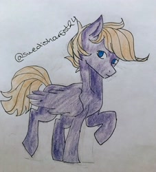Size: 3024x3324 | Tagged: safe, artist:swedishartist24, oc, oc only, oc:wing front, pegasus, pony, blue eyes, brown mane, high res, pegasus oc, raised hoof, solo, traditional art