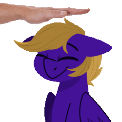 Size: 560x560 | Tagged: safe, artist:modularpon, oc, oc only, oc:wing front, pegasus, pony, animated, brown mane, hand, head pat, male, pat, pegasus oc, purple fur, simple background, transparent background, wings