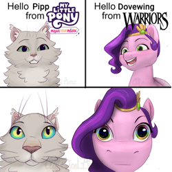 Size: 2000x2000 | Tagged: safe, artist:mythical artist, pipp petals, cat, pegasus, pony, g5, chest fluff, comic, crossover, dovewing, duo, female, hello yoshi from super mario, high res, looking at you, mare, meme, simple background, staring into your soul, warrior cats, warriors, white background