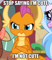 Size: 500x585 | Tagged: safe, edit, edited screencap, screencap, silverstream, smolder, yona, classical hippogriff, dragon, hippogriff, yak, g4, season 8, the hearth's warming club, blatant lies, caption, crossed arms, cute, cute little fangs, denial, denial's not just a river in egypt, dragoness, fangs, female, frown, i'm not cute, image macro, smolderbetes, smoldere, text, tsundere