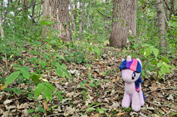 Size: 1200x795 | Tagged: safe, artist:sepiakeys, twilight sparkle, pony, g4, forest, irl, leaves, photo, plushie, solo