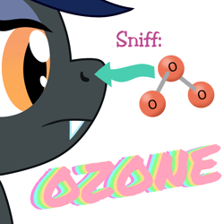 Size: 1000x1000 | Tagged: safe, artist:mightyshockwave, oc, oc only, oc:midnight hour, bat pony, my little pony: tails of equestria, bat pony oc, meme, molecule, ozone, shitposting, simple background, smell, sniffing, solo, white background