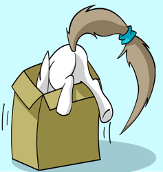 Size: 1280x1352 | Tagged: safe, artist:mayiamaru, oc, oc only, oc:mayia, pegasus, pony, ask mayia, blue background, box, butt, cyan background, plot, pony in a box, simple background, solo