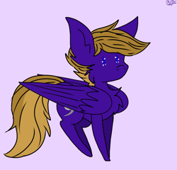 Size: 2048x1967 | Tagged: safe, artist:bunfoxx20studios, oc, oc only, oc:wing front, pegasus, pony, brown mane, brown tail, chest fluff, cute, folded wings, male, pegasus oc, purple background, purple fur, simple background, solo, sparkly eyes, tail, wingding eyes, wings