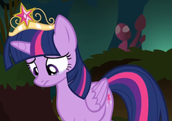 Size: 972x683 | Tagged: safe, screencap, twilight sparkle, alicorn, pony, g4, princess twilight sparkle (episode), season 4, big crown thingy, cropped, crown, crying, crylight sparkle, element of magic, forest, jewelry, regalia, solo, teary eyes, tiara, twilight sparkle (alicorn)