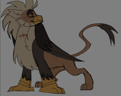 Size: 713x565 | Tagged: safe, oc, big cat, bird, eagle, griffon, lion, bulky, chipped beak, dark arms, griffon oc, grim, grin, mohawk, muscles, neck fluff, reference sheet, relaxed, scar, slicked back, smiling, tan body
