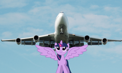 Size: 2127x1283 | Tagged: safe, twilight sparkle, alicorn, pony, g4, boeing, boeing 747, female, jet plane, large wings, mare, plane, queen of the skies, solo, spread wings, twilight sparkle (alicorn), vector, wings