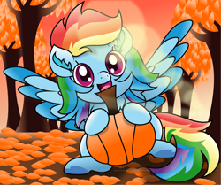 Size: 4104x3429 | Tagged: dead source, safe, artist:php178, rainbow dash, pegasus, pony, g4, .svg available, alternate hairstyle, alternate tailstyle, autumn, autumn leaves, blue, blue wings, chest fluff, chibi, colored wings, colored wingtips, cute, dashabetes, ear fluff, falling leaves, female, front view, gradient hair, gradient mane, gradient tail, happy, highlights, holding, hoof heart, hoof hold, inkscape, leaves, lens flare, looking at you, mare, multicolored hair, multicolored mane, multicolored tail, nc-tv signature, orange (color), pumpkin, rainbow hair, rainbow tail, redesign, shading, signature, simple background, sitting, smiling, smiling at you, solo, spread wings, striped hair, striped mane, striped tail, svg, tail, tail wrap, underhoof, vector, watermark, website, wings