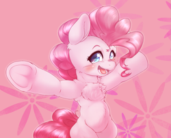Size: 1763x1421 | Tagged: safe, artist:kurogewapony, pinkie pie, earth pony, pony, semi-anthro, g4, arm hooves, belly, blushing, chest fluff, cute, diapinkes, female, happy, hooves out, looking at you, mare, open mouth, open smile, round belly, smiling, smiling at you, solo, underhoof