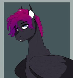 Size: 2932x3131 | Tagged: safe, artist:inisealga, oc, oc only, oc:fae lagoon, hybrid, kelpie, pegasus, pony, bust, chest fluff, female, folded wings, high res, mare, neck fluff, portrait, solo, wings