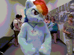 Size: 640x480 | Tagged: safe, artist:spainfischer, applejack, rainbow dash, earth pony, human, pegasus, pony, anthro, g4, 2011, animated, anthrocon, fursuit, gif, irl, irl human, lanyard, looking at you, photo, ponysuit, pose, punch, rearing, shadow boxing, smiling, smirk, solo, spread wings, wings