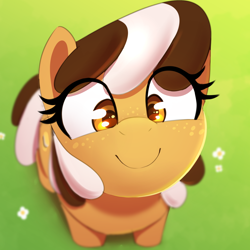 Size: 1000x1000 | Tagged: safe, artist:thebatfang, oc, oc only, oc:s'mare, earth pony, food pony, original species, pony, blurry background, boopable, cute, daaaaaaaaaaaw, female, flower, food, grass, high angle, looking at you, looking up, looking up at you, ocbetes, ponified, s'mores pony, smiling, solo