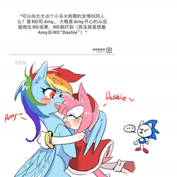 Size: 1979x1979 | Tagged: safe, artist:sadistjolt, rainbow dash, hedgehog, pegasus, g4, ..., amy rose, blush sticker, blushing, chinese, crack shipping, crossover, crossover shipping, female, hug, lesbian, lesbian in front of boys, male, mare, shipping, sonic the hedgehog (series), translation request, winghug, wings