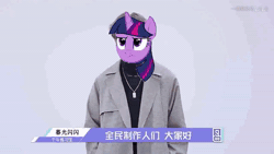Size: 1280x720 | Tagged: safe, twilight sparkle, g4, animated, chinese meme, jntm (chinese 'chicken you are too beautiful' meme), meme, sound, webm