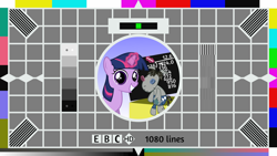 Size: 1024x576 | Tagged: safe, artist:killagouge, smarty pants, twilight sparkle, pony, g4, female, filly, filly twilight sparkle, test card, test card f, younger