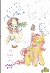 Size: 1105x1618 | Tagged: safe, artist:larvaecandy, fluttershy, earth pony, pegasus, pony, g4, solo, traditional art