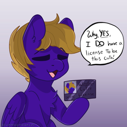 Size: 1790x1788 | Tagged: safe, artist:bluemoon, oc, oc:wing front, pegasus, pony, blue eyes, brown mane, cute, cute license, dialogue, id card, license, male, pegasus oc, purple fur, simple background, solo
