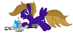 Size: 1103x529 | Tagged: safe, artist:hurricanehunter03, oc, oc only, oc:wing front, pegasus, pony, anime sweat, blue eyes, brown mane, brown tail, capitol building, hurricane, pegasus oc, purple fur, simple background, solo, tail, white background