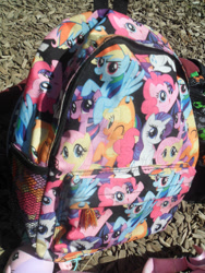 Size: 828x1104 | Tagged: safe, artist:humanmuck, applejack, fluttershy, pinkie pie, rainbow dash, rarity, twilight sparkle, alicorn, earth pony, pegasus, pony, unicorn, g4, backpack, irl, mane six opening poses, merchandise, photo, twilight sparkle (alicorn)