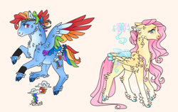 Size: 1280x811 | Tagged: safe, artist:ashmatashs, fluttershy, rainbow dash, flutter pony, hybrid, pegasus, pony, g4, alternate design, alternate hairstyle, bandana, blushing, chest fluff, cloven hooves, coat markings, colored ear fluff, colored eyebrows, colored hooves, colored muzzle, colored wings, duo, ear fluff, facial markings, feathered fetlocks, female, floppy ears, flying, folded wings, hybrid wings, looking back, mare, mealy mouth (coat marking), multicolored wings, pale belly, rainbow wings, simple background, socks (coat markings), species swap, spread wings, tail, tail feathers, transparent wings, walking, white background, wings