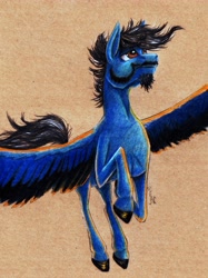 Size: 3841x5130 | Tagged: safe, artist:cahandariella, oc, pegasus, pony, beard, black mane, blue coat, brown background, colored pencil drawing, facial hair, flying, male, moustache, raffle prize, simple background, solo, stallion, traditional art