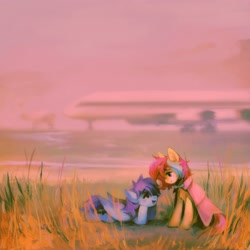 Size: 2048x2048 | Tagged: safe, artist:dearmary, oc, oc only, oc:cuihua, oc:nova twinkle, pony, airport, chest fluff, dc-8, duo, female, grass, grass field, high res, hoof on chin, looking at each other, looking at someone, lying down, mare, mcdonnell douglas, plane, prone, sitting