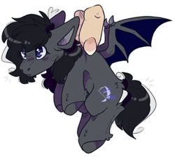 Size: 944x846 | Tagged: safe, artist:heart-sketch, oc, oc only, oc:midnight blitz, bat pony, pony, undead, vampire, vampony, bat pony oc, bat wings, black mane, blue eyes, blue wings, blushing, cute, female, fluffy, gray coat, hand, held up, holding a pony, mare, pony oc, simple background, solo, spread wings, tiny, tiny ponies, transparent background, wings