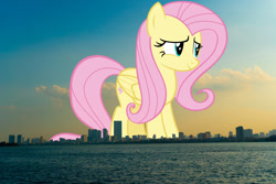 Size: 1523x1017 | Tagged: safe, anonymous editor, artist:andoanimalia, edit, fluttershy, pegasus, pony, g4, female, folded wings, giant pony, giantess, hanoi, highrise ponies, irl, macro, mare, photo, ponies in real life, smiling, solo, story included, vietnam, wings