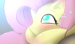 Size: 6800x4000 | Tagged: safe, artist:taps, fluttershy, pony, g4, absurd resolution, blushing, close-up, cute, female, looking up, lying down, mare, prone, solo