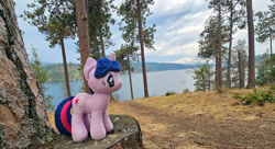 Size: 1200x652 | Tagged: safe, artist:sepiakeys, twilight sparkle, pony, g4, irl, photo, plushie, solo