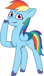 Size: 668x1149 | Tagged: safe, artist:prixy05, rainbow dash, pegasus, pony, g4, g5, my little pony: tell your tale, g4 to g5, generation leap, simple background, solo, transparent background, vector