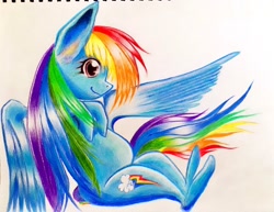 Size: 1024x792 | Tagged: safe, artist:shikabane_gom, rainbow dash, pegasus, pony, g4, anatomically incorrect, incorrect leg anatomy, solo, traditional art