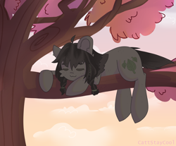 Size: 4000x3309 | Tagged: safe, artist:cattstaycool, oc, oc only, freckles, sleeping, solo, tree, tree branch