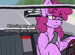 Size: 1579x1152 | Tagged: safe, artist:reddthebat, berry punch, berryshine, earth pony, pony, g4, driving, eyebrows, eyebrows visible through hair, female, implied drunk, lidded eyes, mare, signature, smiling, solo, text