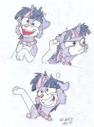 Size: 1502x2029 | Tagged: safe, artist:silversimba01, twilight sparkle, dog, pony, unicorn, g4, border collie, collar, facial expressions, female, solo, species swap, twilight barkle, twilight dog, twilight snapple, unicorn twilight