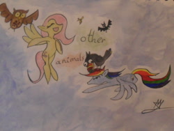 Size: 500x375 | Tagged: safe, artist:mylittleawesome, fluttershy, rainbow dash, bat, bird, insect, owl, pegasus, pony, toucan, wasp, g4, duo, eyes closed, find a pet, flying, simple background, singing, sogreatandpowerful, traditional art