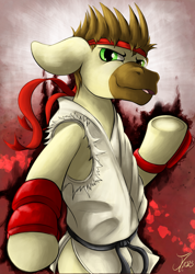 Size: 1732x2437 | Tagged: safe, artist:jamescorck, oc, oc:caspasin42, pony, clothes, cosplay, costume, ryu, solo, street fighter