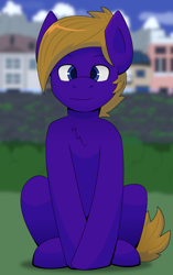 Size: 1300x2067 | Tagged: safe, artist:brushwork, oc, oc only, oc:wing front, pegasus, pony, blue eyes, brown mane, brown tail, chest fluff, city, closed mouth, crossed legs, eyes open, front view, grass, mountain, pegasus oc, purple fur, sitting, solo, tail, white sclera