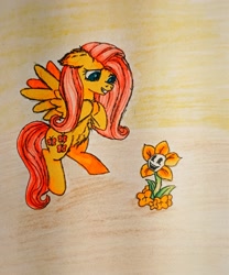 Size: 2412x2901 | Tagged: safe, artist:mettaton, fluttershy, pegasus, pony, g4, crossover, flowey, high res, marker drawing, traditional art, undertale