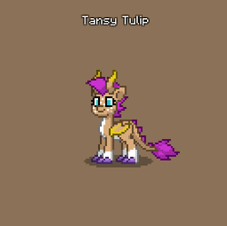 Size: 384x382 | Tagged: safe, oc, oc only, oc:tansy tulip, dracony, dragon, half-dragon, half-pony, hybrid, pony, pony town, brown background, claws, do not steal, female, horn, horns, hybrid oc, offspring, original character do not steal, parent:sunny starscout, parent:tumble, purple mane, purple tail, simple background, solo, spikes, tail, wings