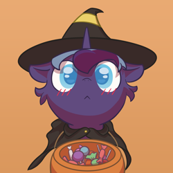 Size: 2000x2000 | Tagged: safe, artist:dark_wind, oc, oc only, oc:dark wind, pony, blushing, candy, clothes, costume, cute, food, halloween, halloween costume, hat, high res, holiday, looking at you, pumpkin bucket, simple background, solo